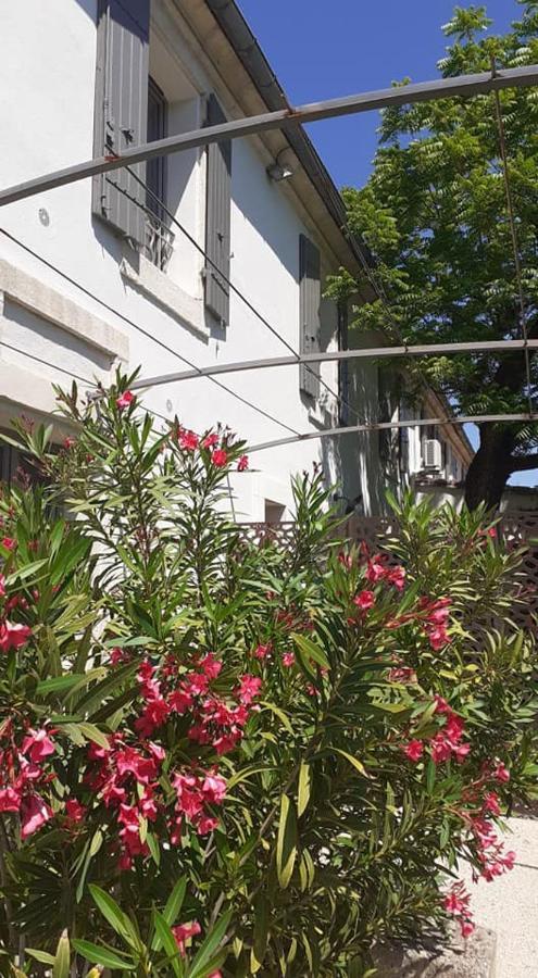 Superior Double Room Terrace