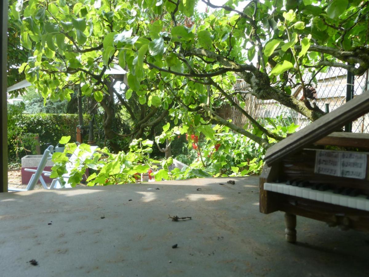 Double or Twin Room Garden View