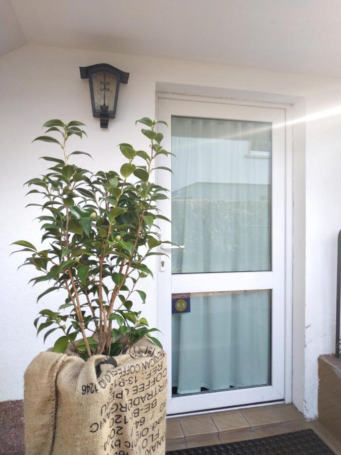 Double or Twin Room Garden View