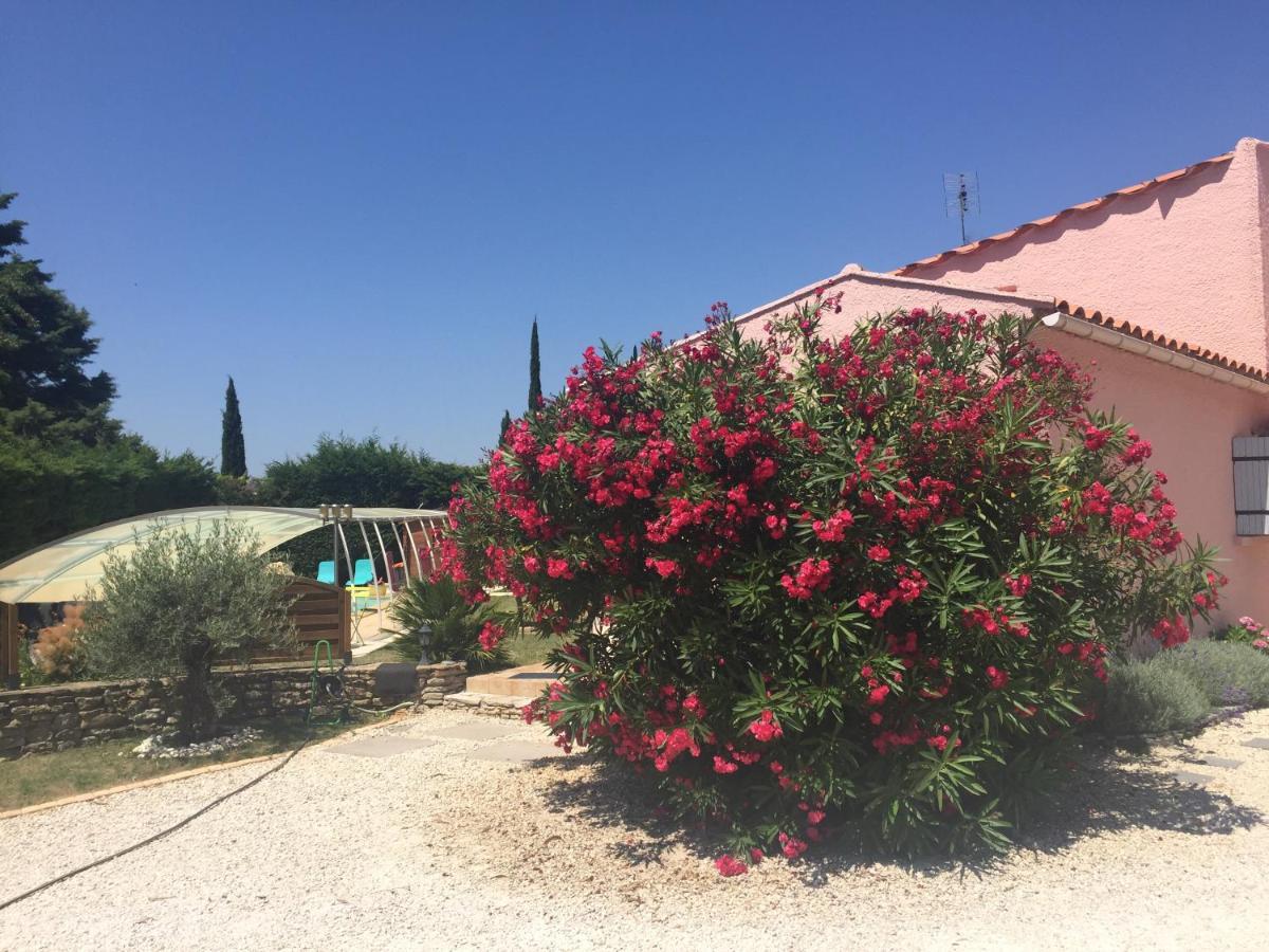 Double Room Garden View