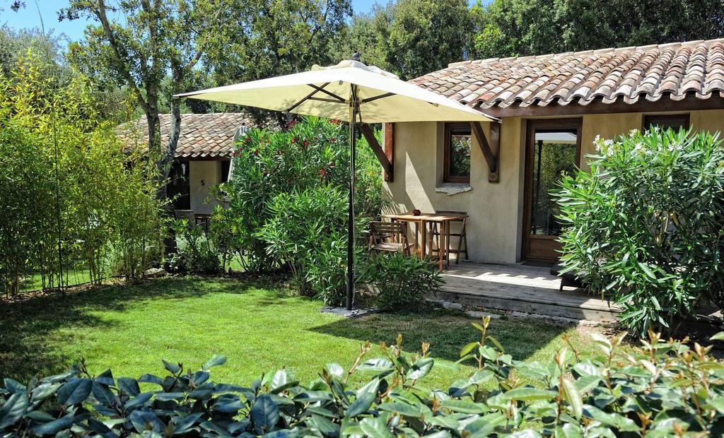 House Terrace garden view