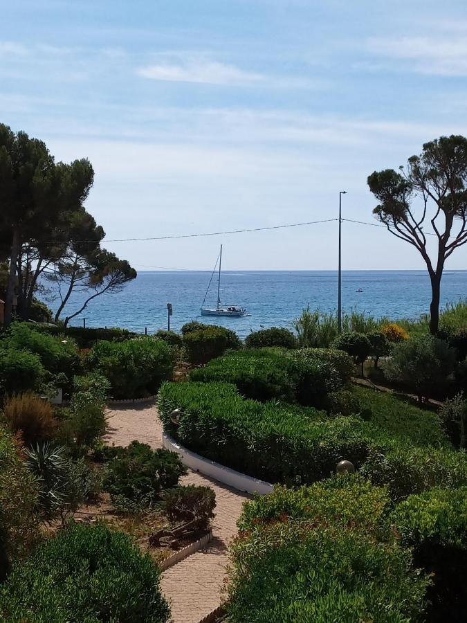 Appartement 1 Chambre - Vue sur Mer