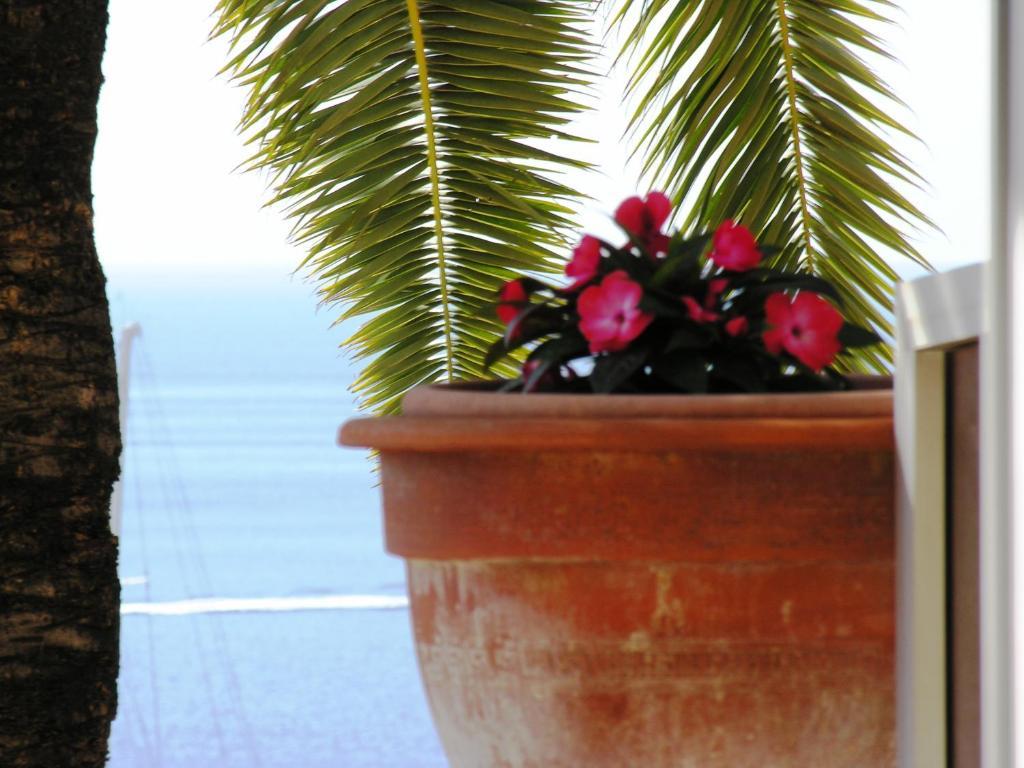 Double Room with Sea View and Terrace