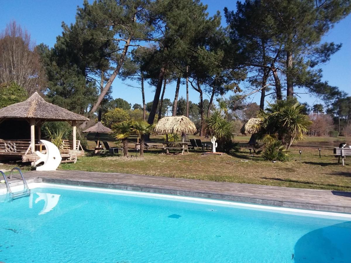Double Room Garden View