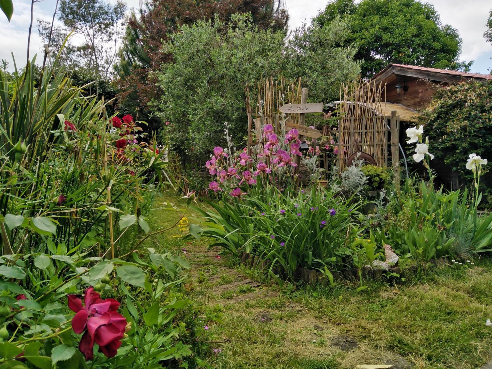 Double Room Terrace