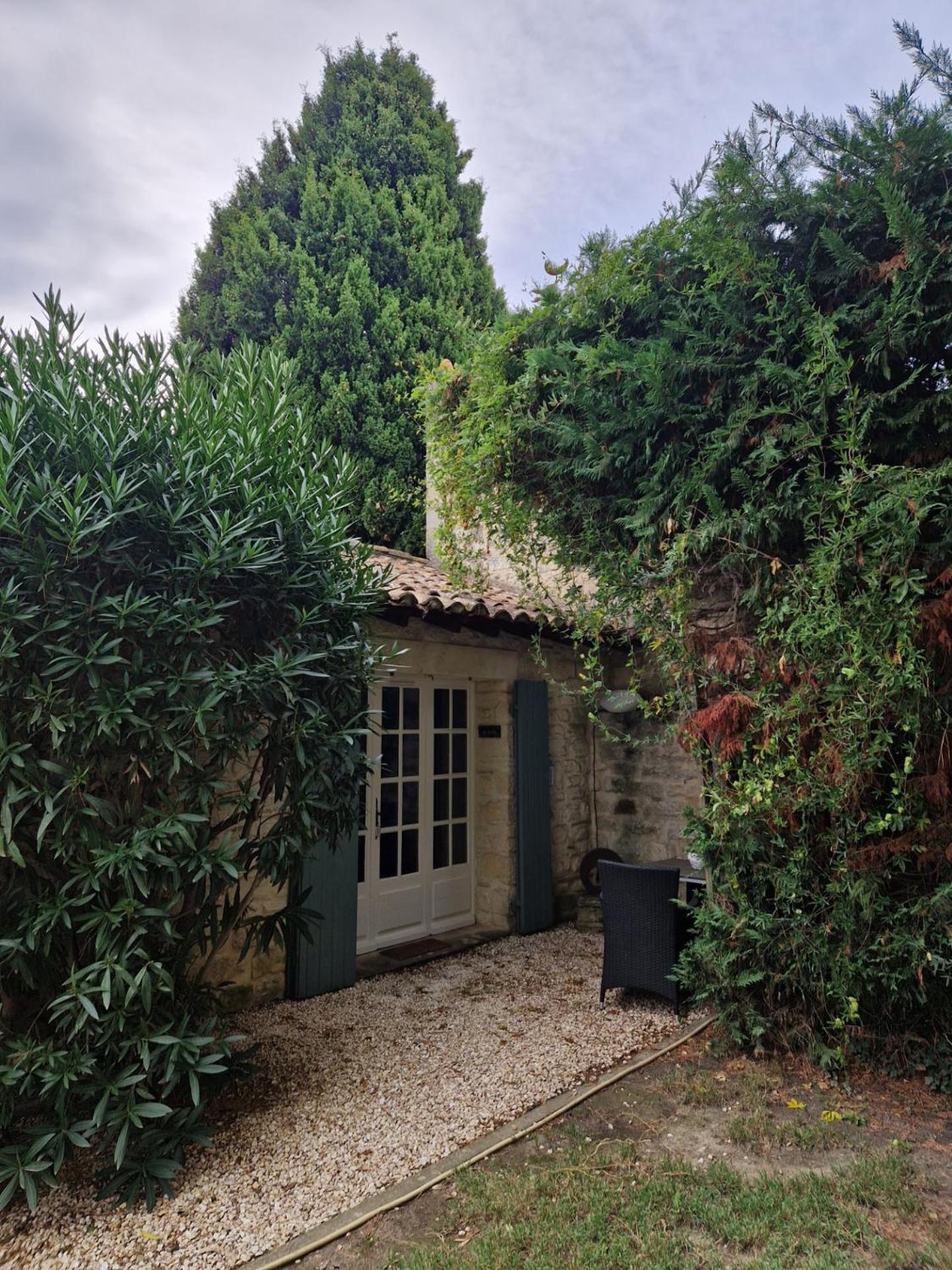 Junior Suite Garden View