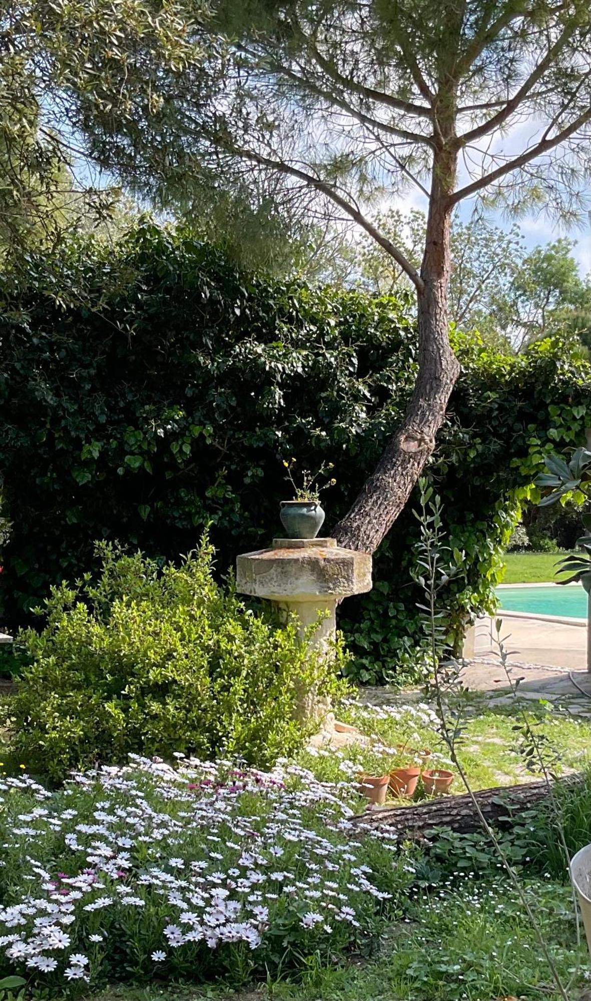 Suite Garden View Terrace