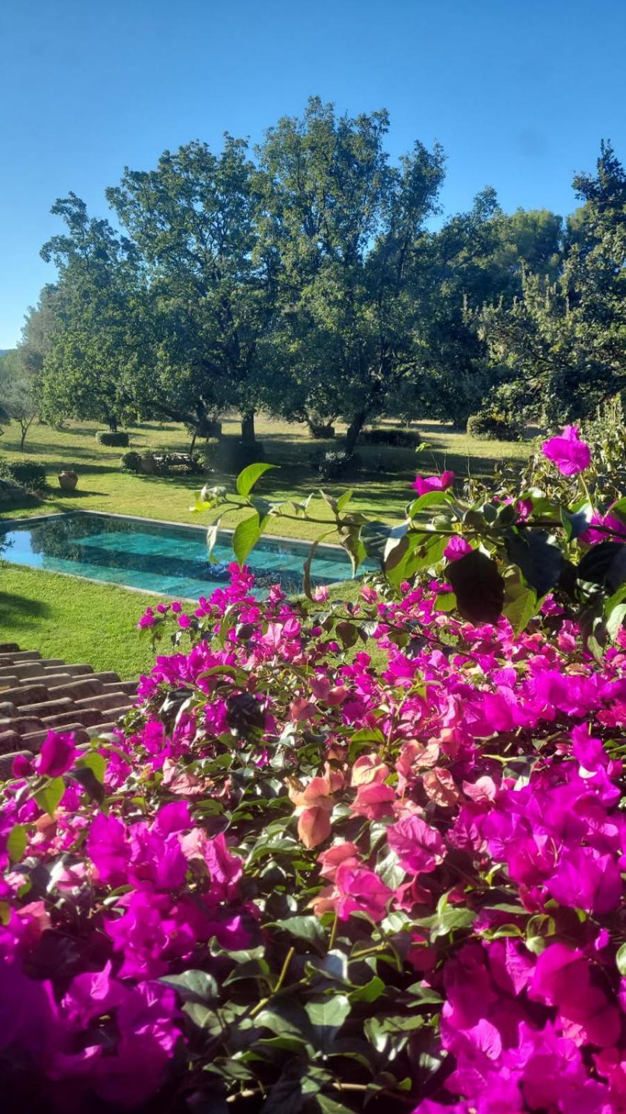Double Room Garden View