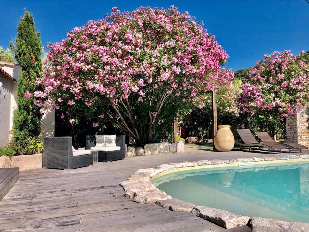 Queen Room Garden View