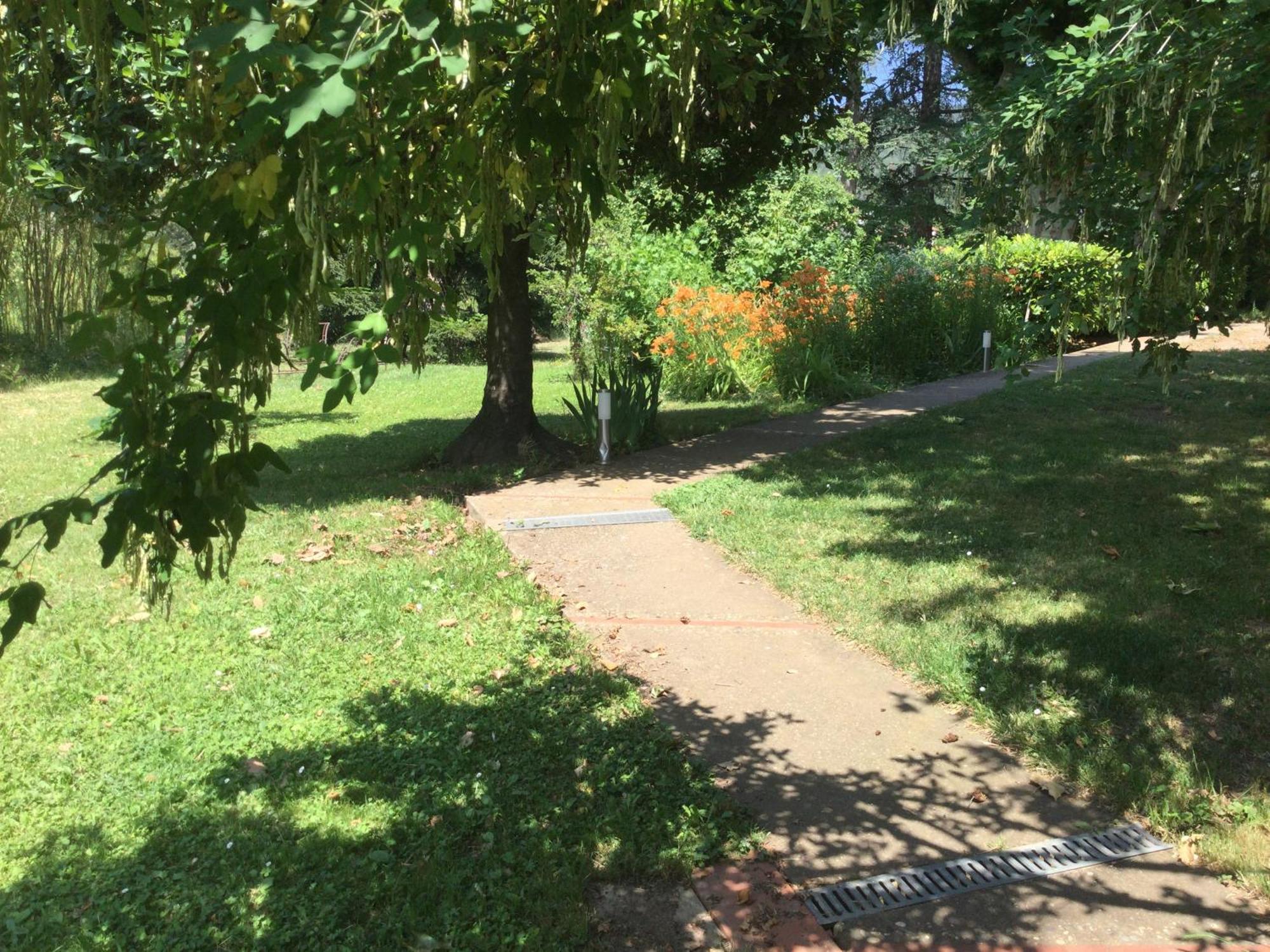Apartment Garden View