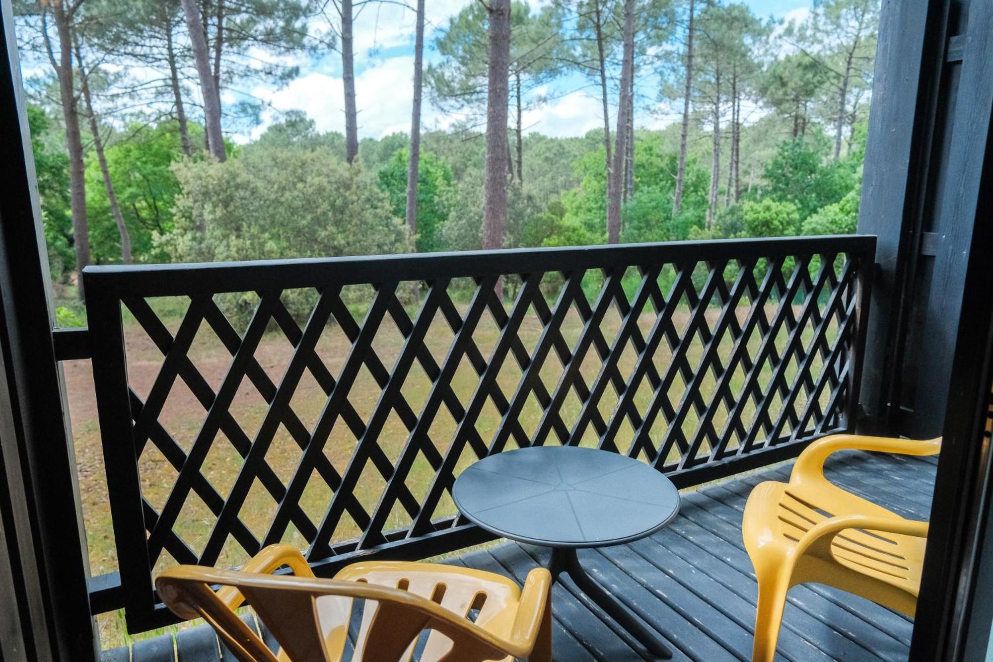 Standard Double Room Forest View