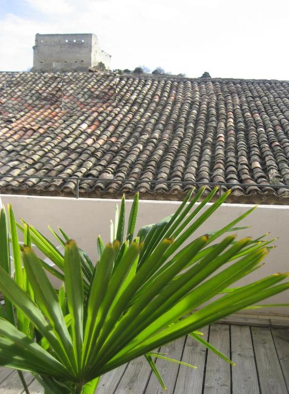 Suite Terrace