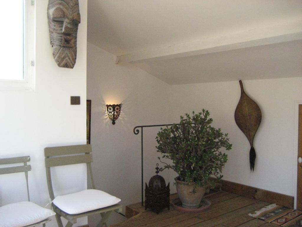 Suite Terrace