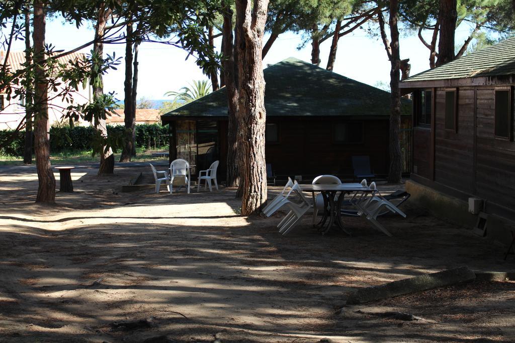 Economy Bungalow