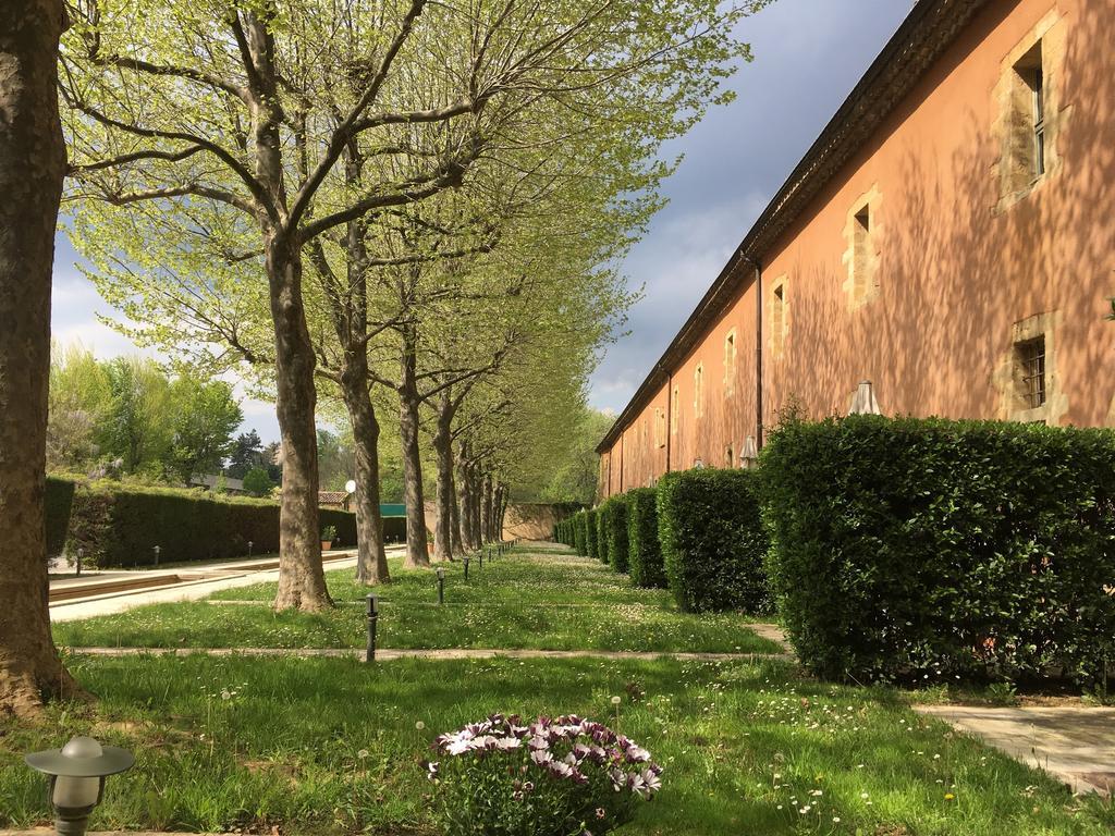 Studio Mezzanine Terrace