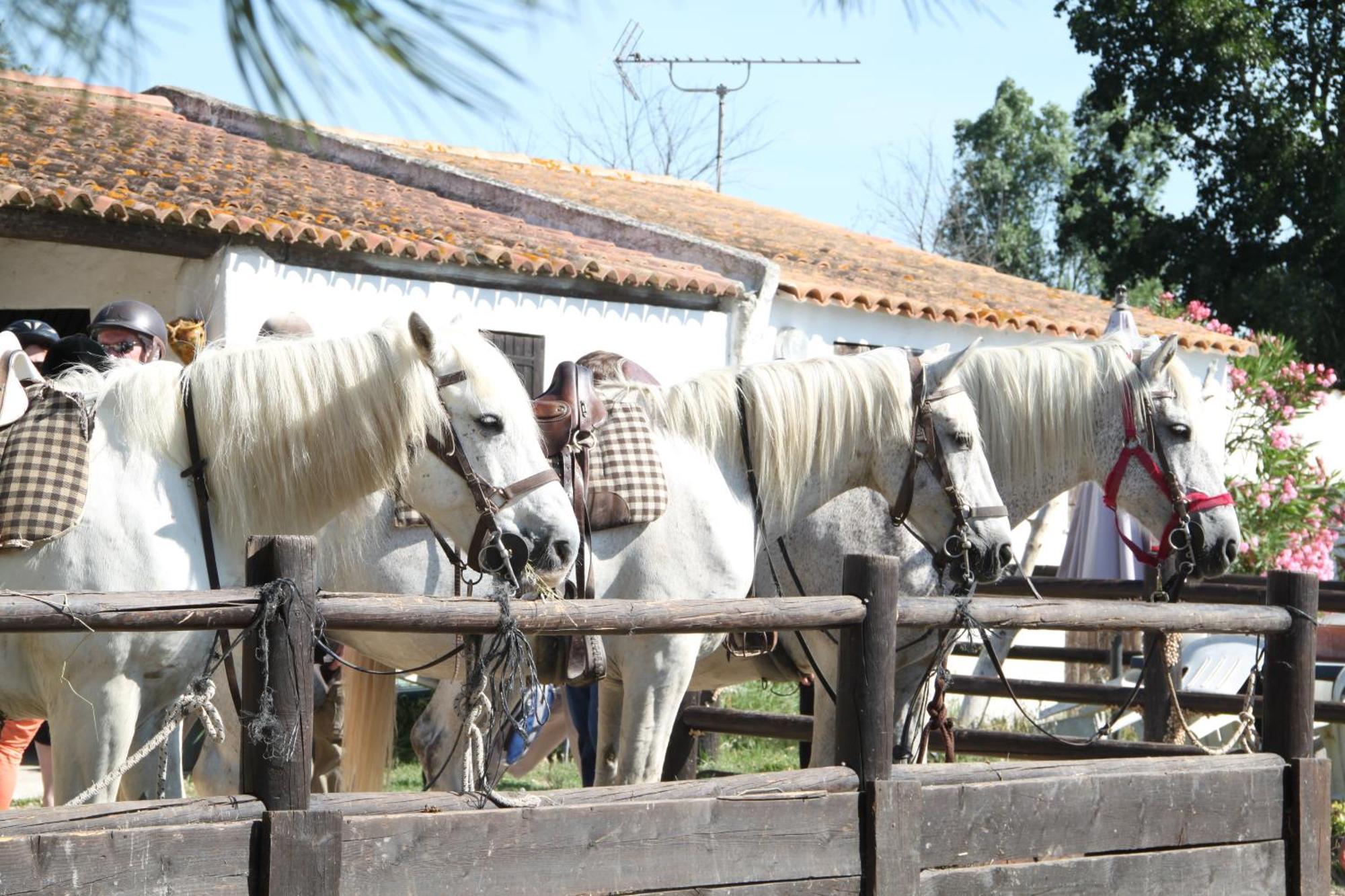 Superior Room with Spa Bath,1263938578:JPEG