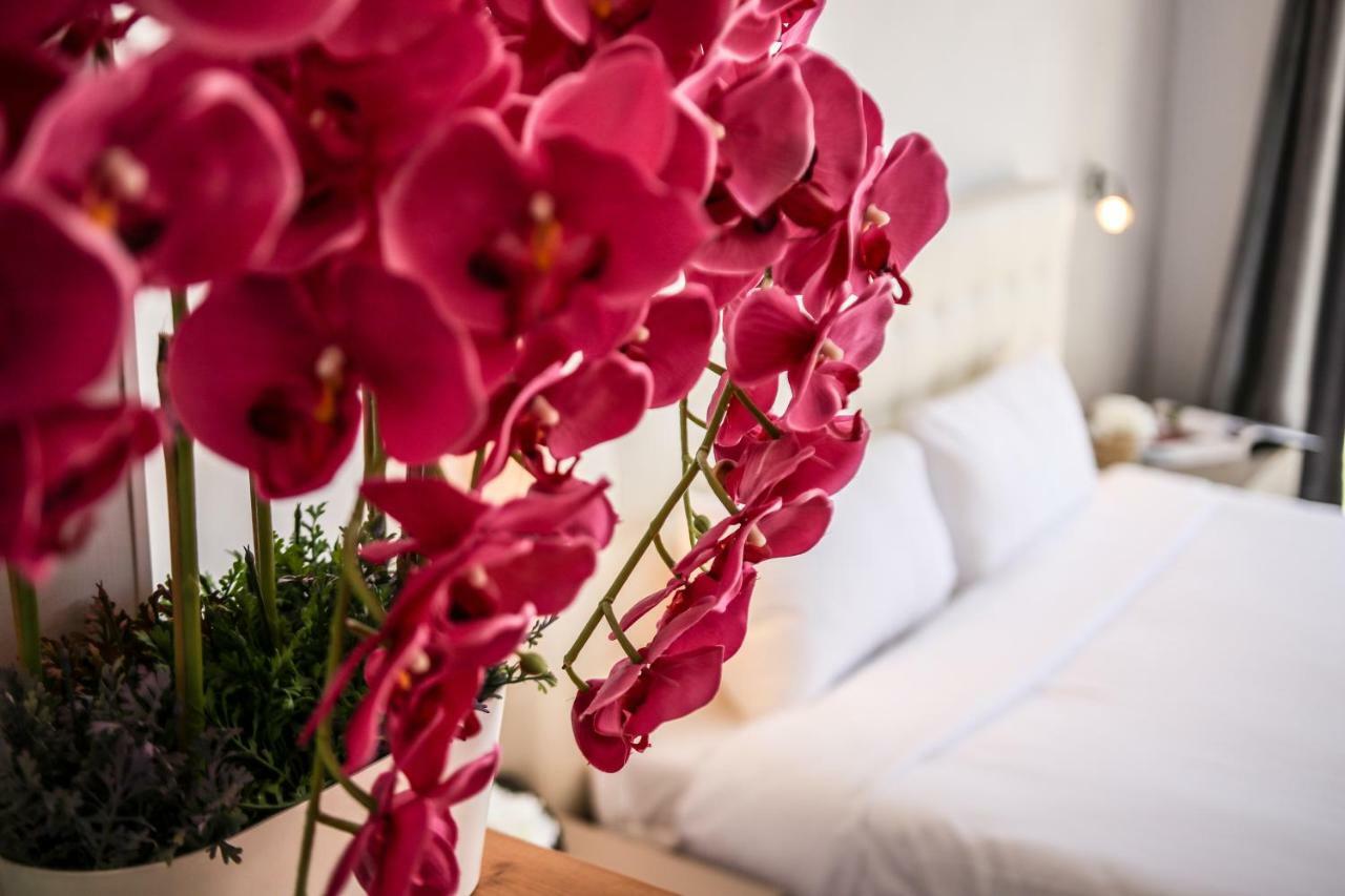 Suite with Terrace and Pool View - Ground floor,789648195:JPEG