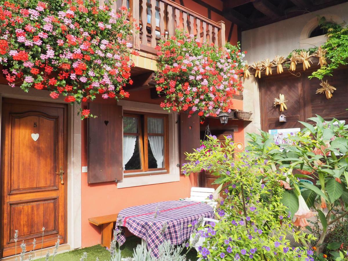Family Room Terrace