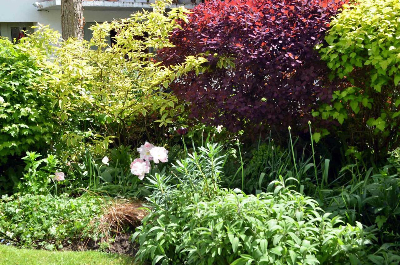 Double Room Garden View