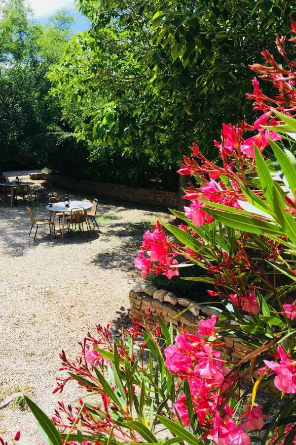 Studio Garden View