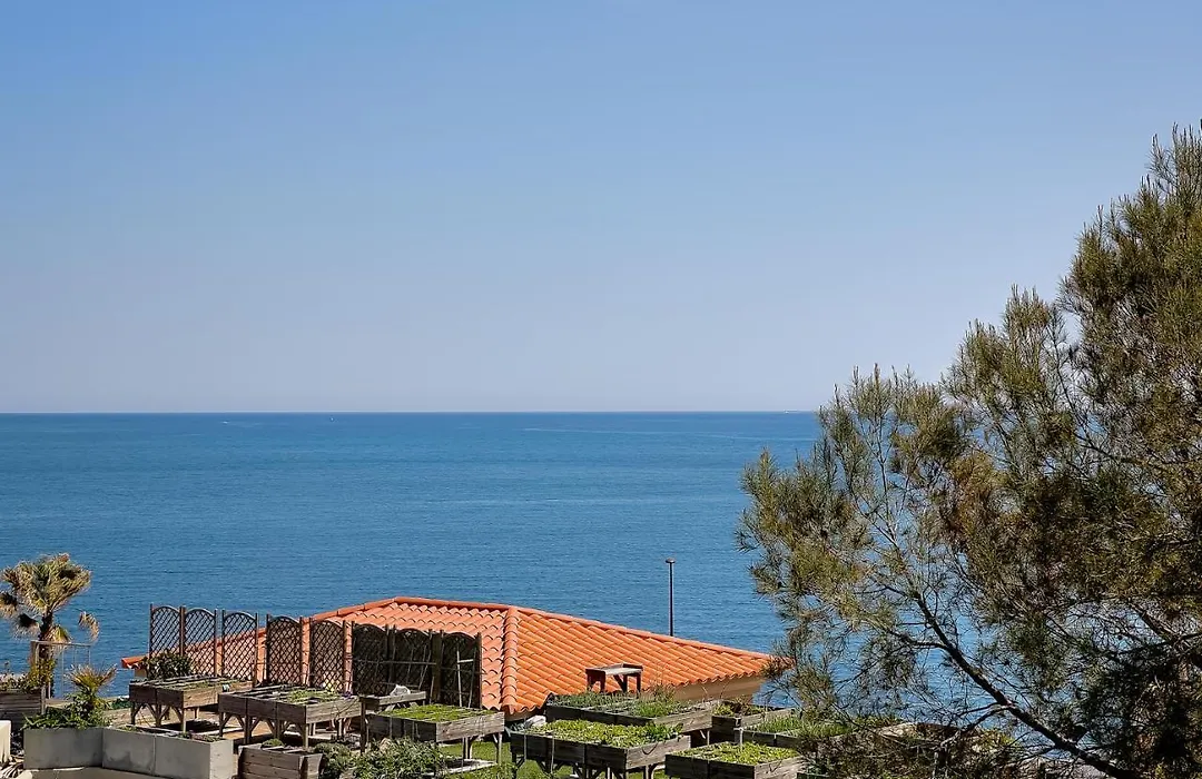 Villa Les Pins Du Cap - Vue Mer - Cap D'Antibes-1