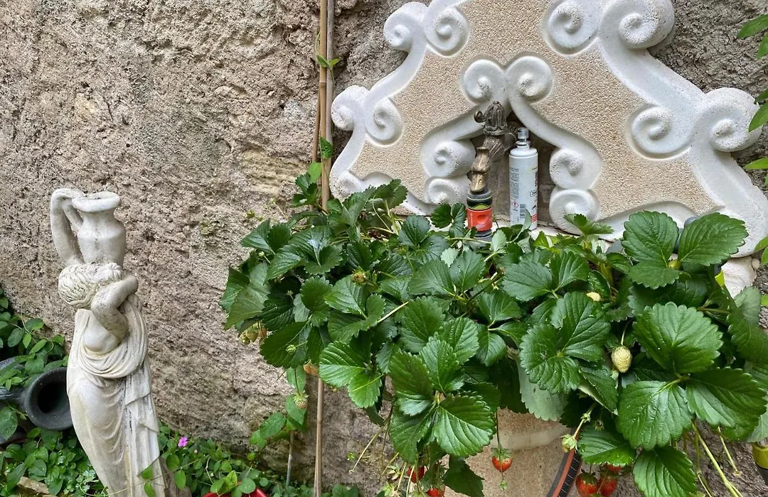 Villa Rosa Béziers-1