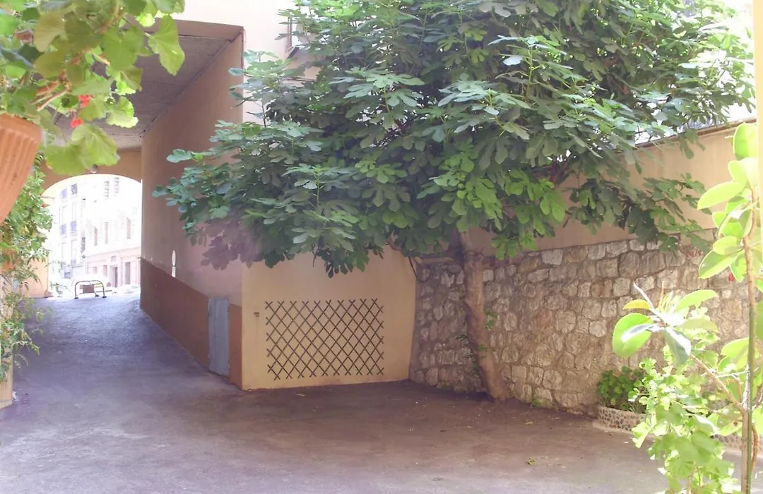 Studio Mimosa Fshh-1