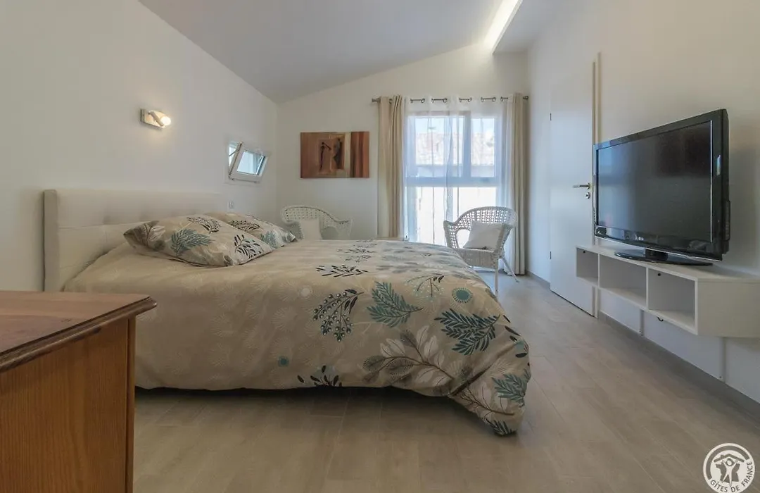 Cosy Lodge Toulouse-1