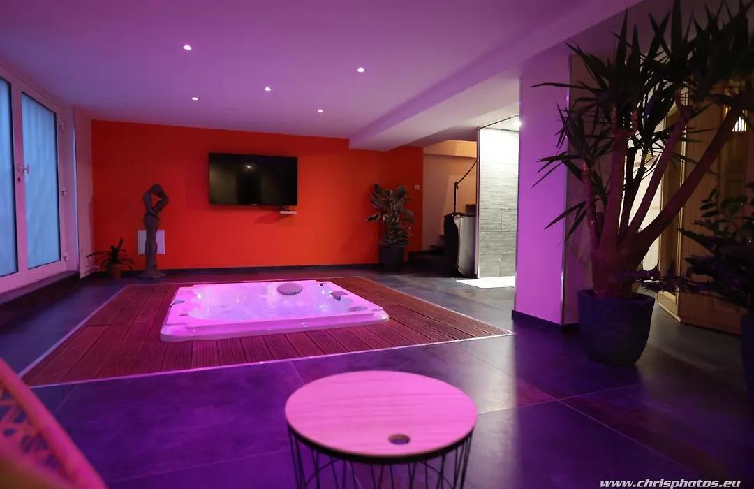 Ds Plaisir Love Room avec sauna, jacuzzi à Nancy-1