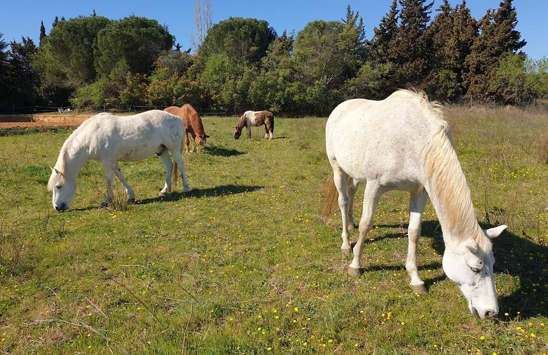 Chambres D'Hotes Dans Propriete Rurale-1