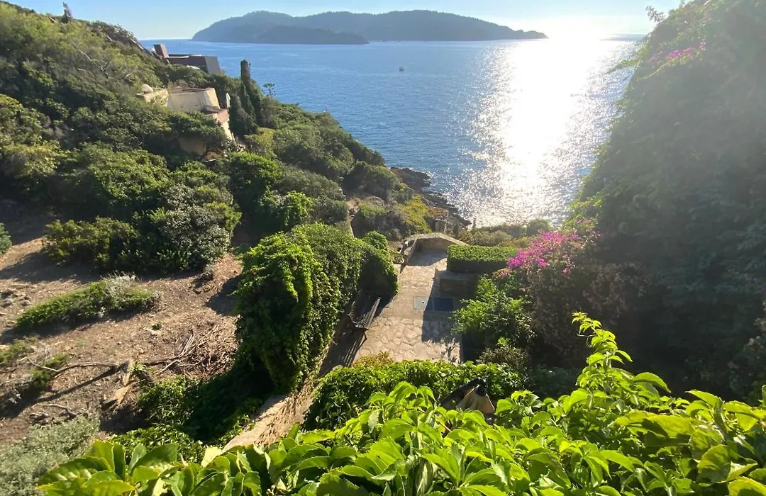 VILLA MANDRAGORE Ile du Levant-1