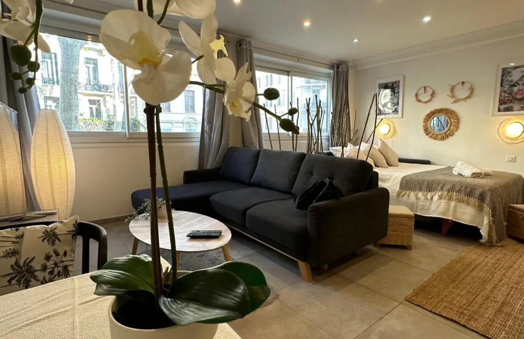 Grand Studio Cosy Cannes Centre-1