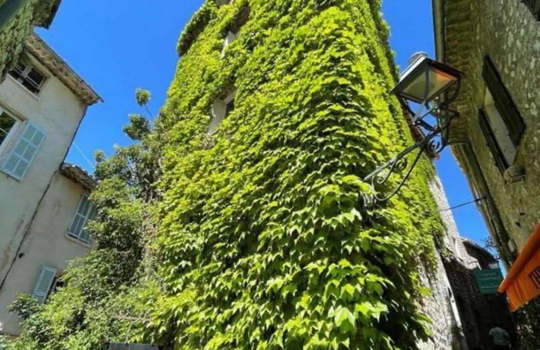 Gr7 Suite - Charmant Appartement A Saint Paul De Vence-1