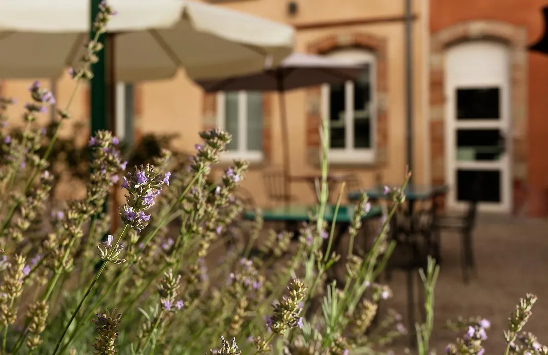 ibis Styles Toulouse Lavaur-1