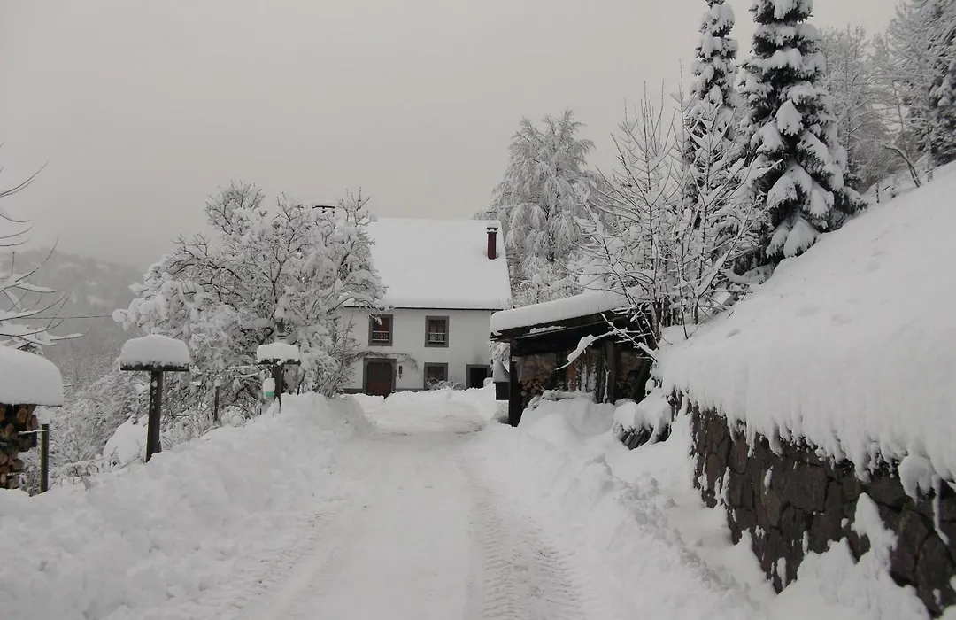 La Ferme du Vieux Sapin-1
