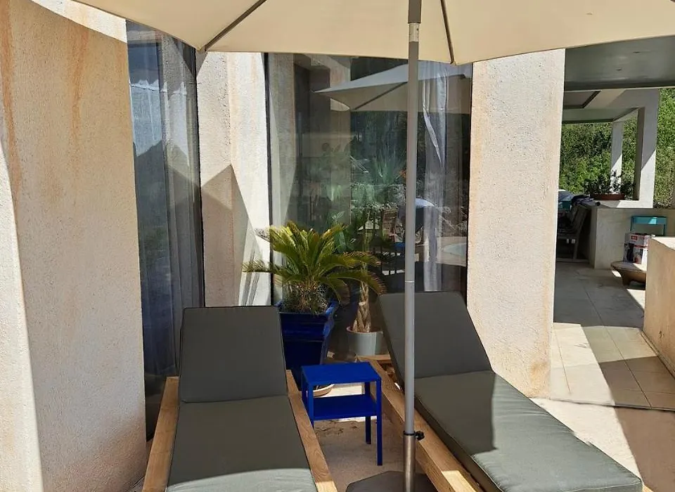 Spacious Dream Villa Near Monaco-1