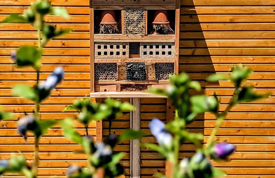 Villa Font Vive - Chambres d'hôtes avec Cuisine et calme absolu !-1