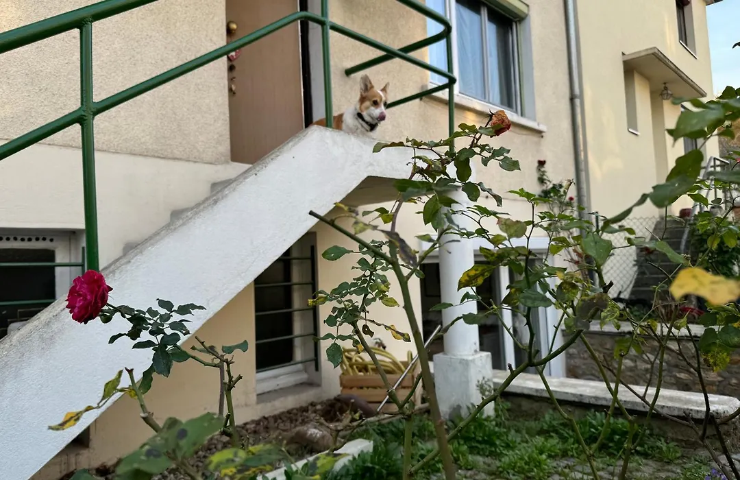 Maison Louise-1