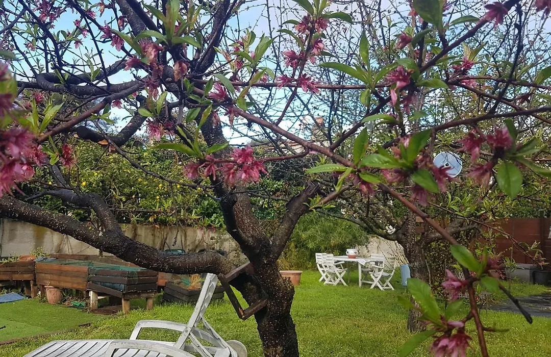 1er etage privatif dans une maison-1