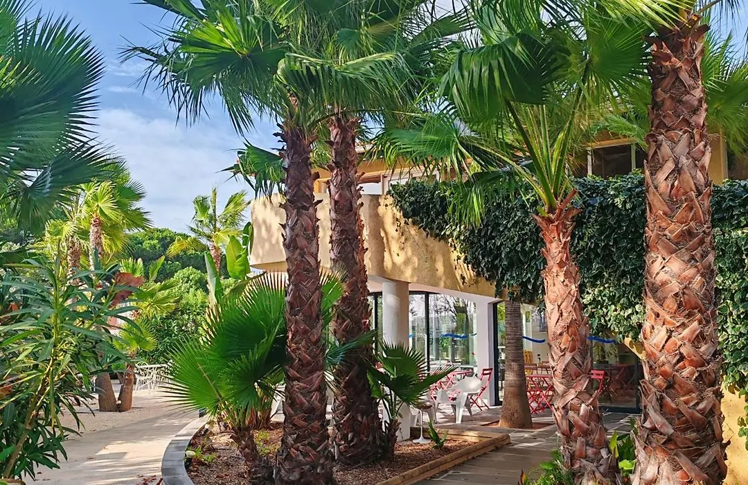 Residence Agathea - Esprit Hotel - Centre Port - Cap D'Agde-1