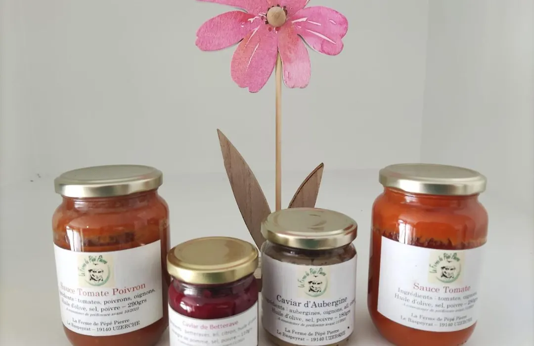 Le nid du Colibri-1