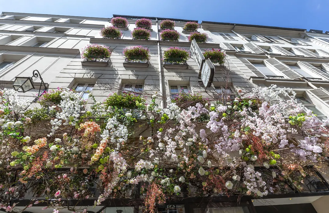 Dauphine Saint Germain-1