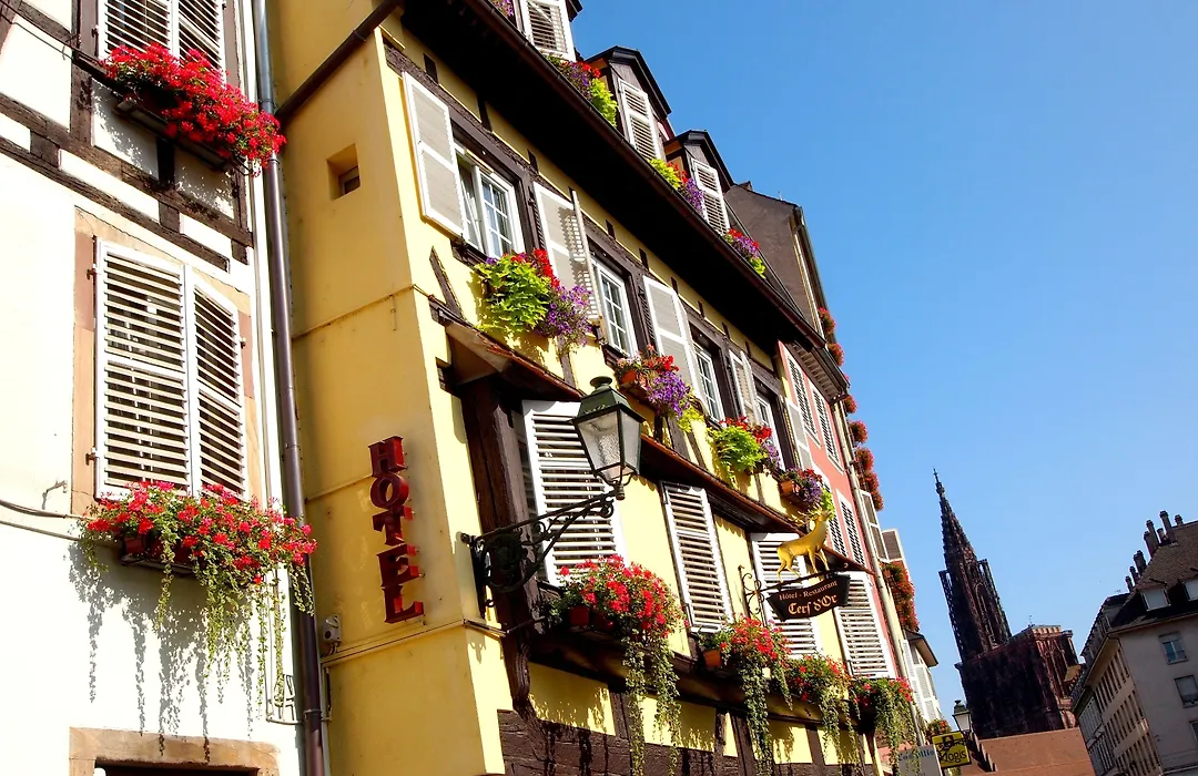 Hotel Restaurant Au Cerf d'Or-1