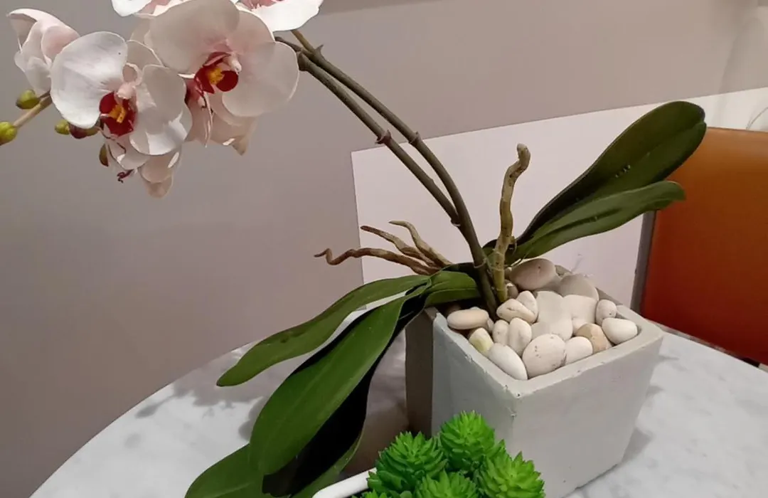 Villa Angelus-1