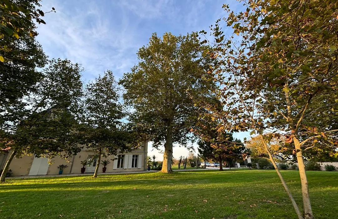 Château de Neyran Maison d'hôtes&Spa-1