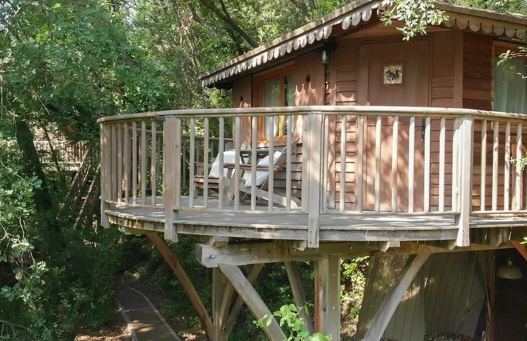 Orion Treehouses-1