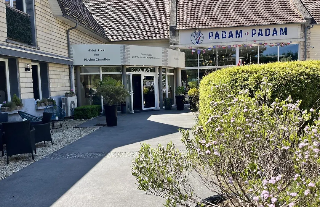 Hotel Best Western La Mare O Poissons-1
