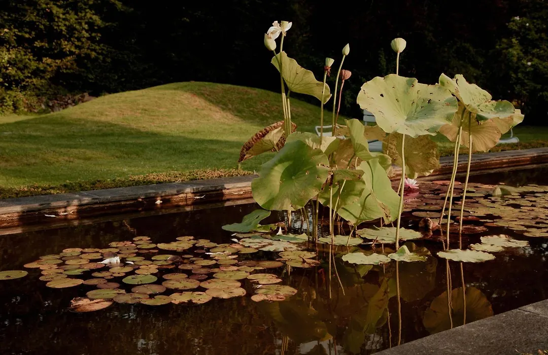 La Dime De Giverny - Chambres D'Hotes-Spa-Restaurant-1