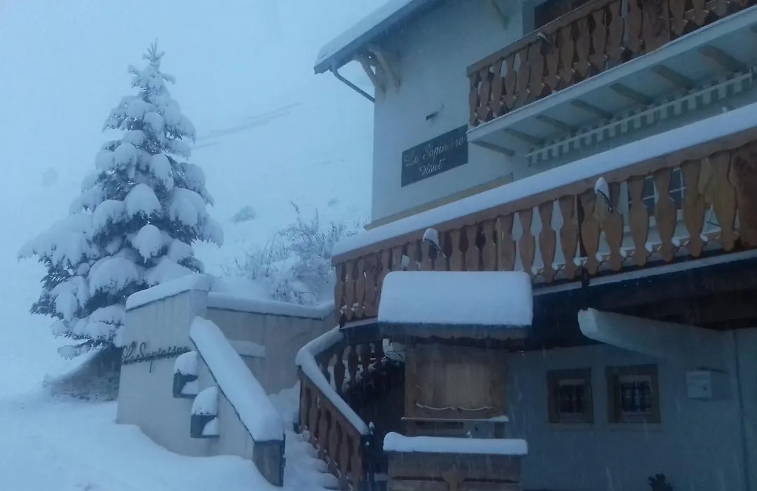 La Sapiniere St Lary Soulan-1