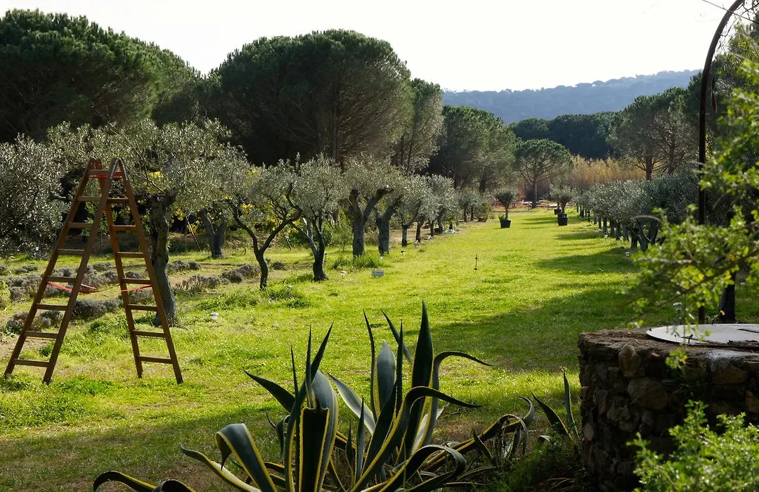 Campagne Les Jumeaux-1